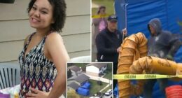 House close to where Kianna Galvin, 17, vanished 10 years ago excavated over 'anamolies' underground