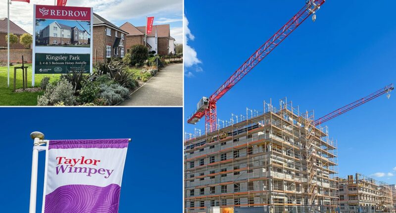 Housebuilder shares have fallen through the floor: Should investors be buying the dip?
