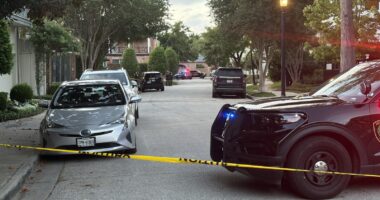 Houston River Oaks murder-suicide: 2 adults, 2 kids found dead after River Oaks shooting reported on Kingston Street, police say