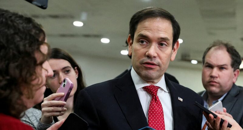 How Donald Trump's VP pick could help him edge out Biden: Daily Mail poll shows Marco Rubio would woo Democrats, while Vivek Ramaswamy helps turn out Republicans