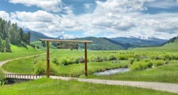 How Ted Turner's 2million acre property empire is set to be carved out... as CNN tycoon's kids could be left with NOTHING
