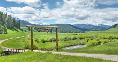 How Ted Turner's 2million acre property empire is set to be carved out... as CNN tycoon's kids could be left with NOTHING