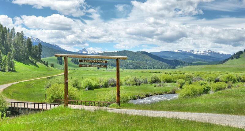 How Ted Turner's 2million acre property empire is set to be carved out... as CNN tycoon's kids could be left with NOTHING