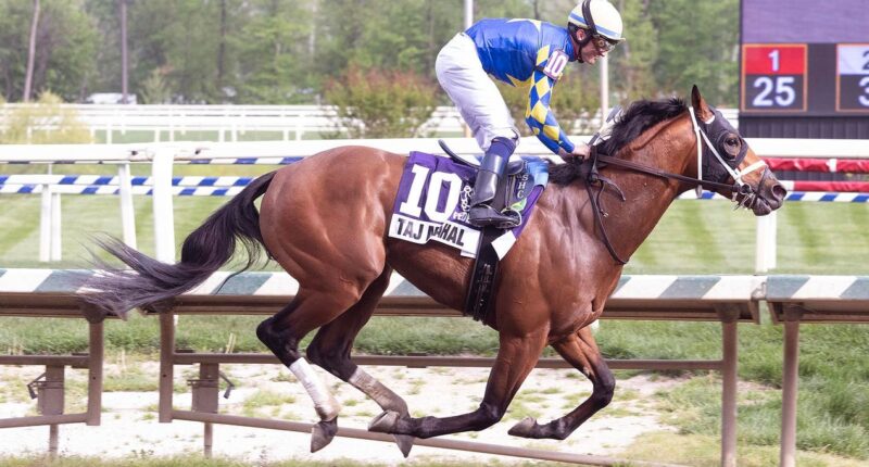 How To Watch The 2026 Preakness Stakes On TV And Streaming
