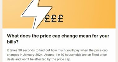How much will YOUR energy bill go up? Use our calculator to find out how the 5% Ofgem price cap rise will affect your gas and electric costs in January