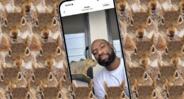 How the internet’s favorite squirrel dad made a hit camera app