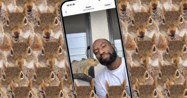 How the internet’s favorite squirrel dad made a hit camera app