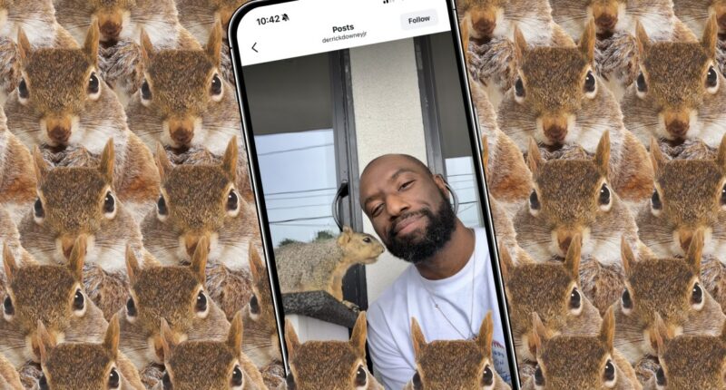 How the internet’s favorite squirrel dad made a hit camera app