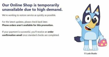 The Australia Post online store has crashed, hours after the new $2 Bluey coins were released.