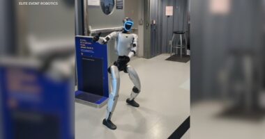 Humanoid robot named Bebop causes Southwest Airlines flight delay out of Oakland San Francisco Bay Airport
