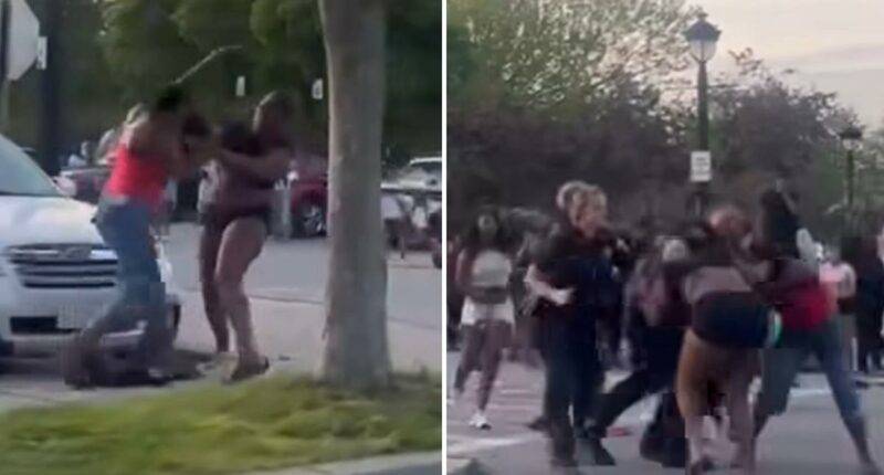 Hundreds of teens brawl in back-to-back 'teen takeovers' at NY park