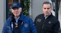 Hunter Biden's lavish lifestyle may raise his child support payments