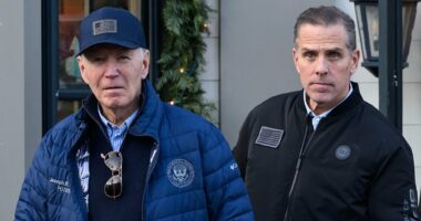 Hunter Biden's lavish lifestyle may raise his child support payments