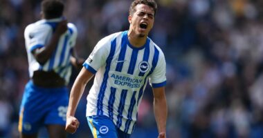 'I worked harder than everyone to prove I was ready': Brighton star YASIN AYARI on winning over 'very demanding' Fabian Hurzeler, bouncing back from his 's***' Championship loans and his World Cup ambitions with Sweden