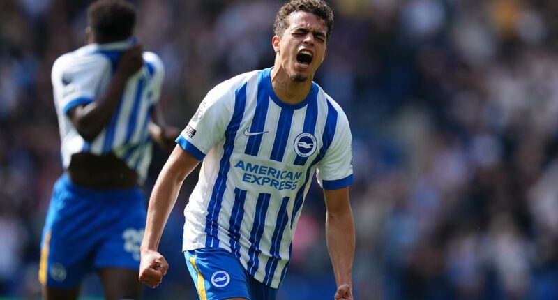 'I worked harder than everyone to prove I was ready': Brighton star YASIN AYARI on winning over 'very demanding' Fabian Hurzeler, bouncing back from his 's***' Championship loans and his World Cup ambitions with Sweden