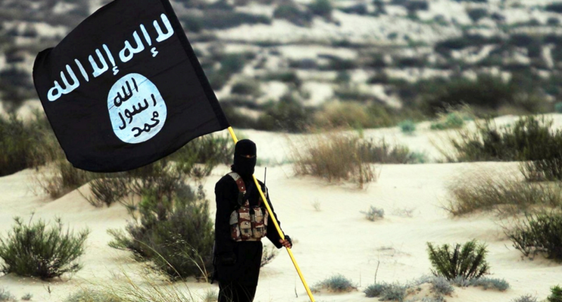 ISIS terror leader at large after US strike kills top commander amid rising Africa threat: analyst
