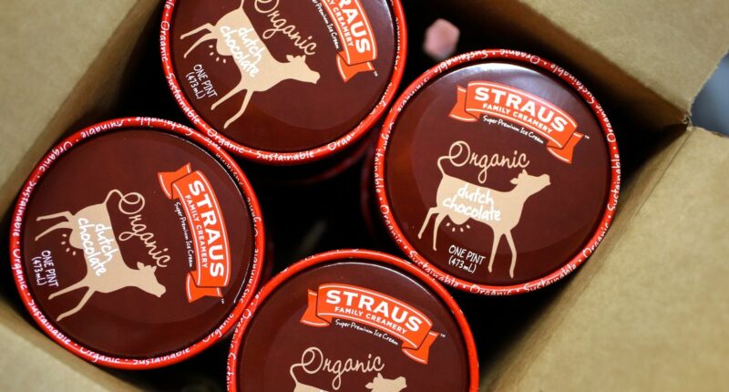 Ice cream sold in 17 states recalled for potential metal fragments