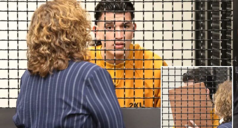 Illegal migrant freed by Biden and accused of killing innocent dad cowers in court