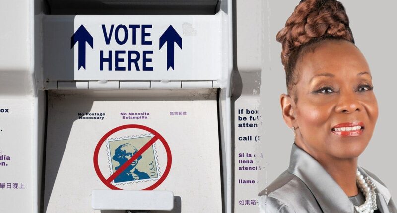 Illinois official charged after allegedly submitting dead mother’s mail-in ballot