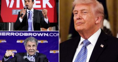 Indiana, Ohio and Michigan primary election takeaways
