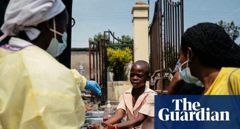 Infectious diseases such as hantavirus and Ebola becoming more frequent and damaging, say experts