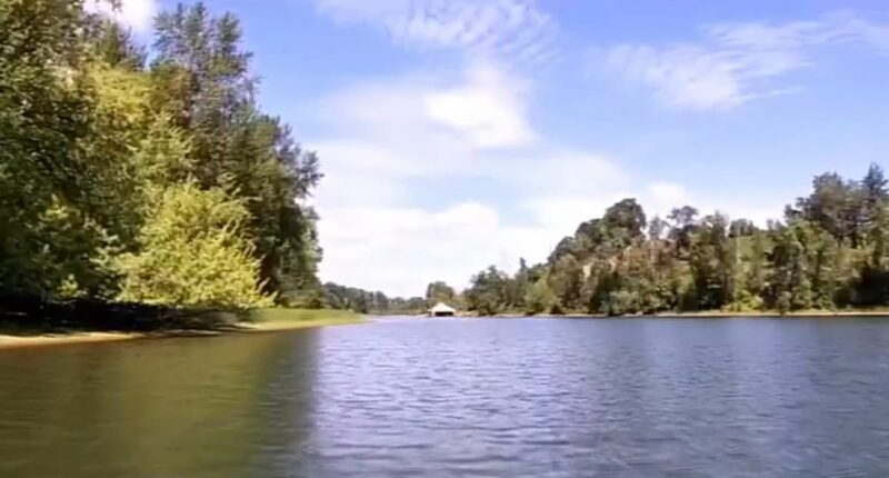 Inside America's real-life 'Jurassic Park' hidden away on island