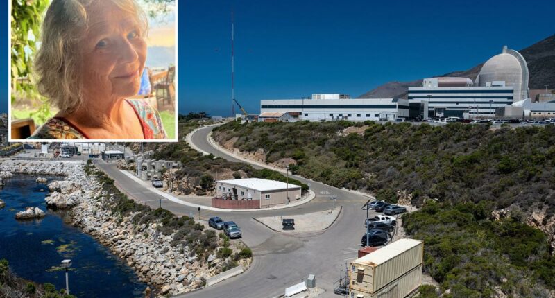 Inside California's last nuclear power plant -- as locals fear it'll have catastrophic meltdown
