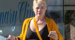 Inside feminist outcast Clementine Ford's exiled life after Abbie Chatfield feud pushed her from the mainstream - and the fixation driving her now