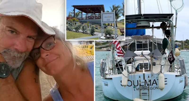 Investigators to launch fresh probe into 'Soulmate' sailboat that Lynette Hooker and her husband lived on before she vanishes