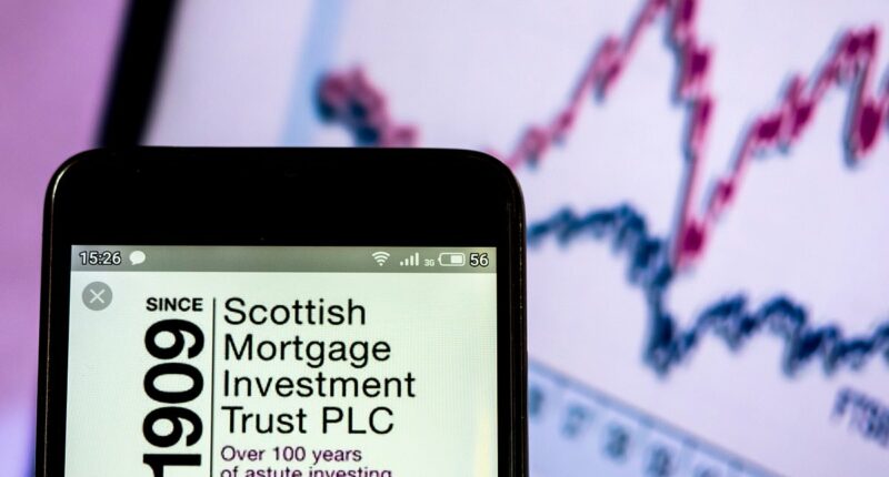 Investment trusts find a new younger generation of fans