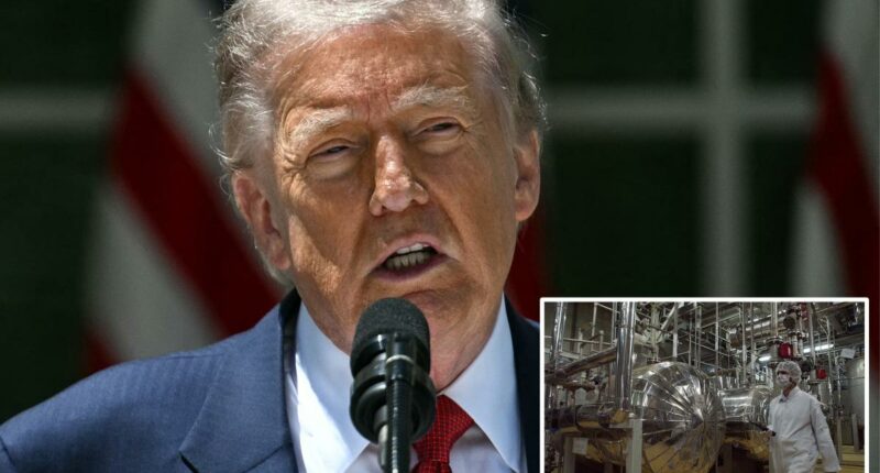 Iran agrees to give up 'nuclear dust' stockpile in deal with Trump: report