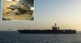 Iran eyeing mine-carrying dolphins to attack US warships in Strait of Hormuz