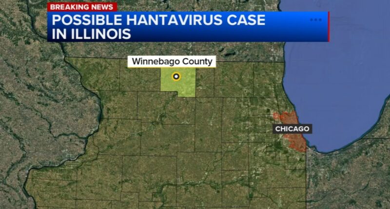 Is hantavirus in Illinois in 2026? IDPH investigating potential case in Winnebago County, IL not linked to cruise ship outbreak