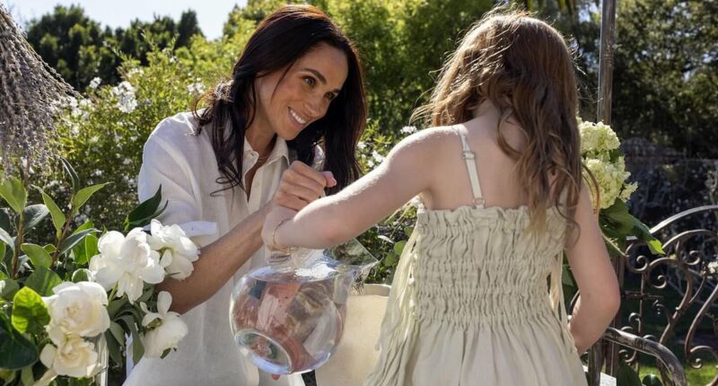 It's been a big year for America's only Princess as she turns 5! Fans have seen more of Lilibet in the past year than ever before as experts suggest 'family imagery' is crucial for Meghan's lifestyle brand