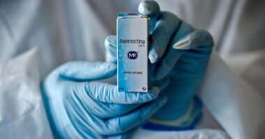 Ivermectin Is Not Proven To Treat Hantavirus, Doctors Warn
