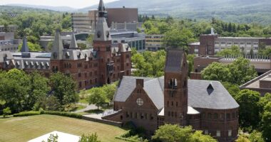 Ivy League university president allegedly struck student with car