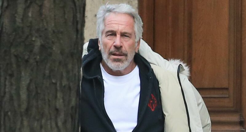 Jeffrey Epstein scrawled suicide note finally released