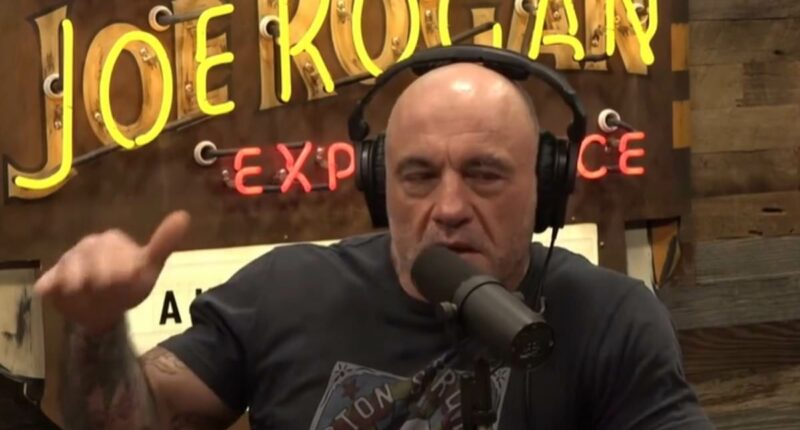 Joe Rogan goes ballistic on Trump over IRS settlement