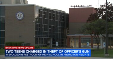 Juan Pablo Sanchez Jaramillo, teen charged in connection with Forest View Educational Center school resource officer's missing gun