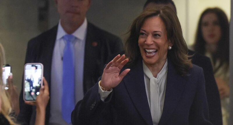 Kamala Harris and husband Doug living separate lives as she embraces secluded new life in $8m Malibu beach house and weighs future