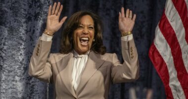 Kamala Harris's deluded comeback dream and why some former aides want to stop her