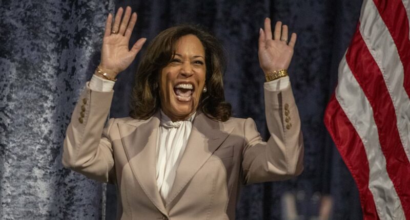Kamala Harris's deluded comeback dream and why some former aides want to stop her