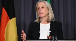 Katy Gallagher admits Labor's net-zero spending is 'not sustainable'