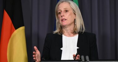 Katy Gallagher admits Labor's net-zero spending is 'not sustainable'