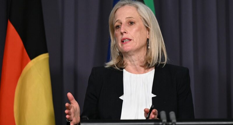 Katy Gallagher admits Labor's net-zero spending is 'not sustainable'