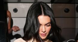Kendall Jenner embraces the 'fake nipple' theme at Met Gala afterparty