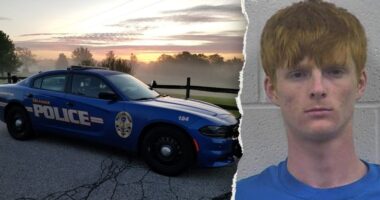 Kentucky man enters insanity plea after admitting to beating his grandmother to death in recorded attack