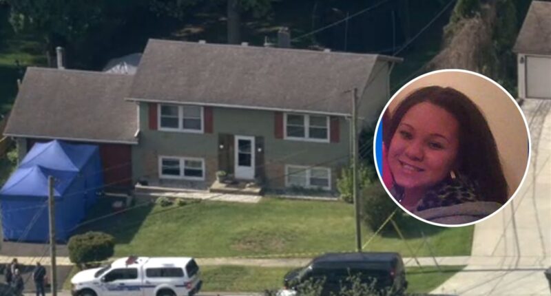 Kianna Galvin missing: Kane County investigators to conduct excavation at home in 800-block of Revere Road in South Elgin
