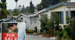 LA's home market hits fresh insanity