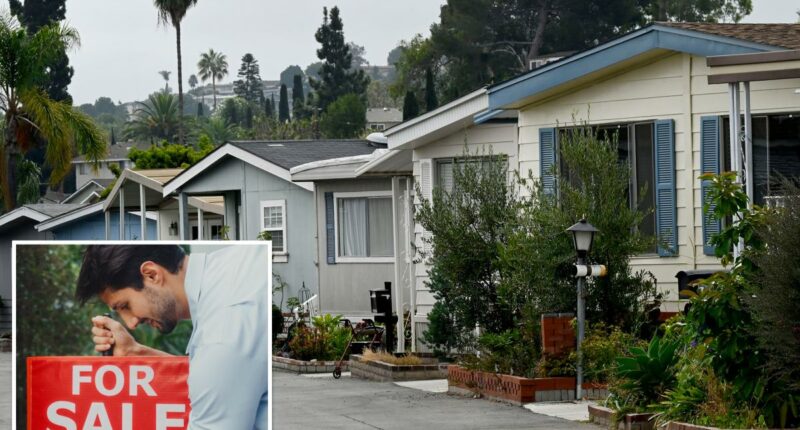 LA's home market hits fresh insanity
